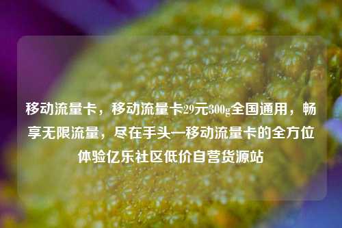 移动流量卡，移动流量卡29元300g全国通用，畅享无限流量	，尽在手头—移动流量卡的全方位体验亿乐社区低价自营货源站  第1张